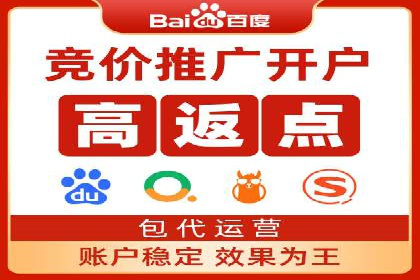 百度推广实战案例：如何精准投放广告